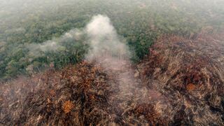 Deforestación de la Amazonia brasileña retrocede desde un máximo de 15 años