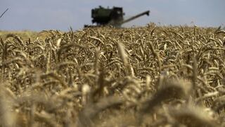 UE pide a Rusia que restablezca el acuerdo de exportación de granos de Ucrania