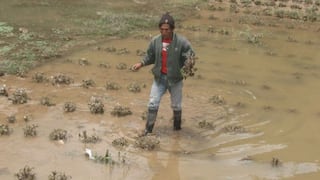Piden incluir a Cajamarca en acciones de prevención por El Niño global 