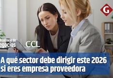 A qué sector debes dirigirte este 2026 si eres una empresa proveedora