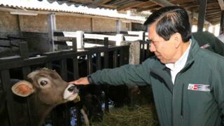 Minagri apunta a elevar ingresos de ganaderos y productores en 40%