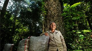 Bosques Amazónicos, su ruta para duplicar su stock de bonos de carbono en el 2024
