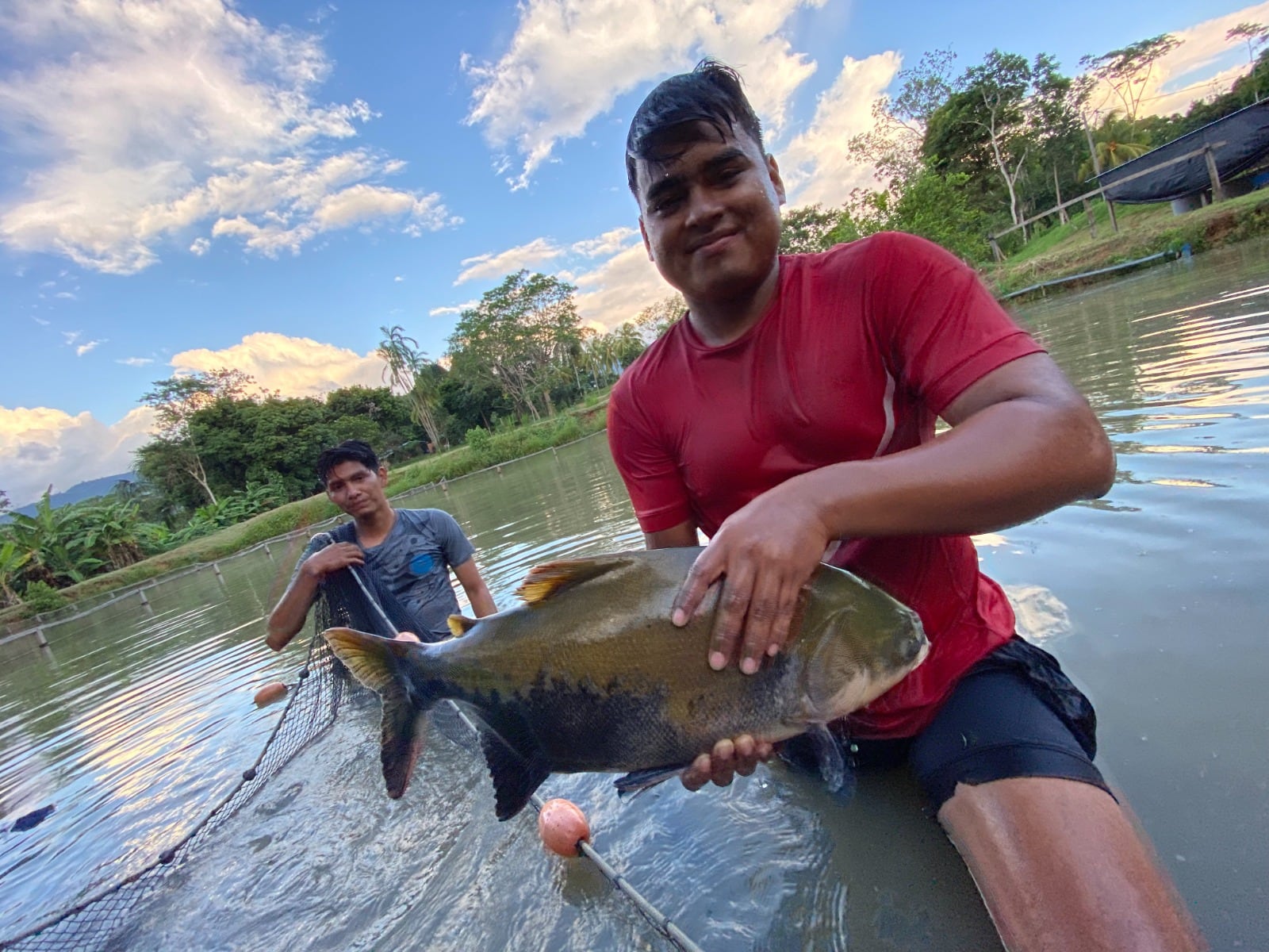 El sistema de control sanitario peruano garantiza alimentos seguros y trazables, según análisis de la Comisión Europea. Foto: Produce