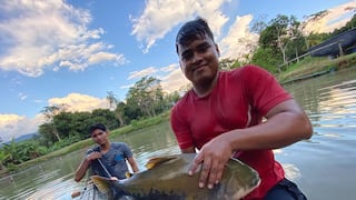 Perú superó auditorías sanitarias para seguir como proveedor pesquero y acuícola de la Unión Europea