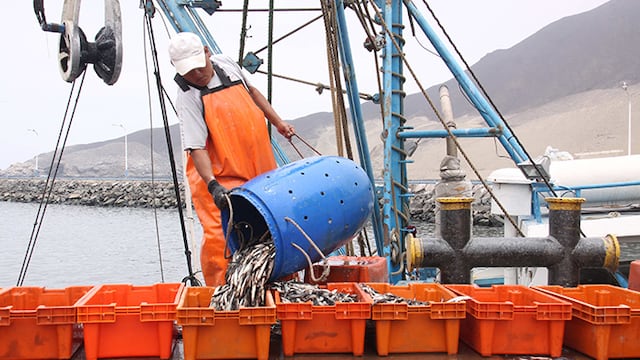 Pisco: Se reinicia pesca artesanal en muelle de San Andrés tras una semana de fuertes oleajes