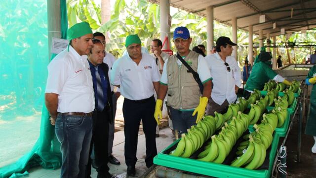 Entregan primer  certificado de carbono neutral a pequeños productores de banano de Piura
