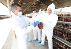 Se suspende huelga del sindicato de trabajadores de Senasa