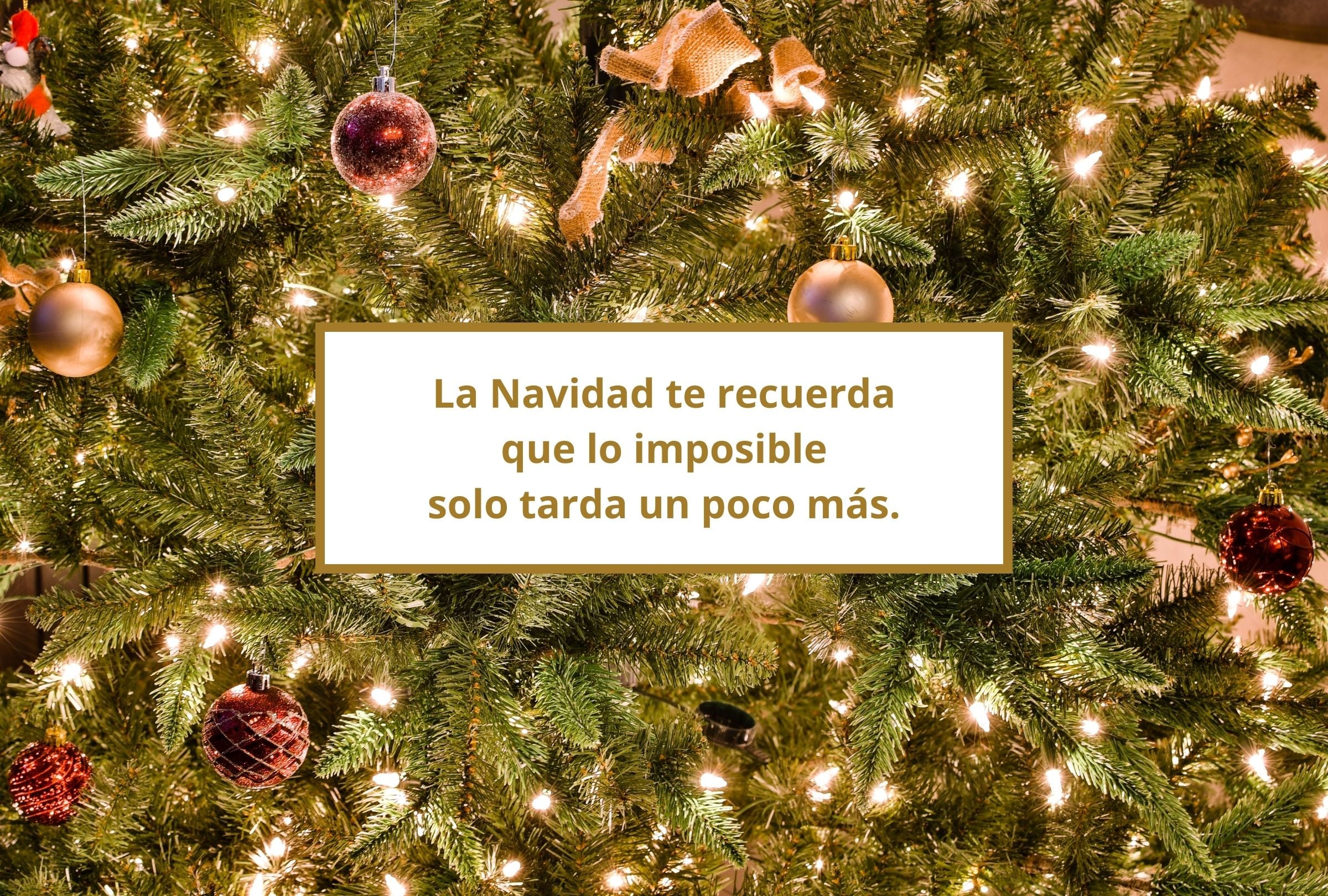 La Navidad te recuerda que lo imposible solo tarda un poco más. (Foto: Composición Gestión Mix)