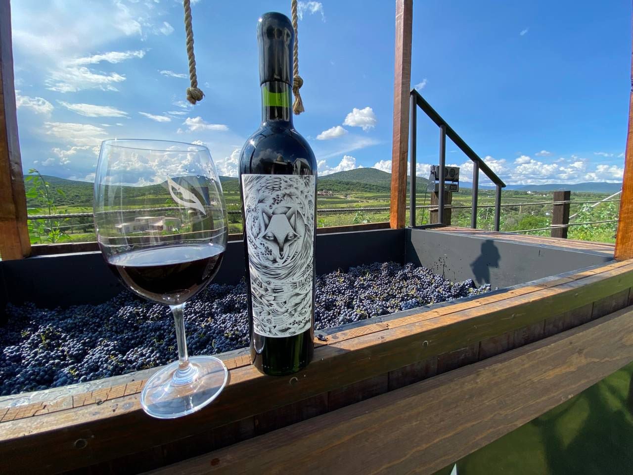 ¿Qué hace únicos a los vinos mexicanos? El secreto que esconde sus viñedos