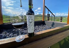 ¿Qué hace únicos a los vinos mexicanos? El secreto que esconde sus viñedos