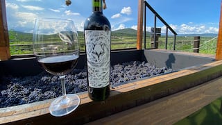 ¿Qué hace únicos a los vinos mexicanos? El secreto que esconde sus viñedos