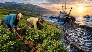 Demanda interna y recuperación gradual de agro y pesca marcarían pauta en 2027
