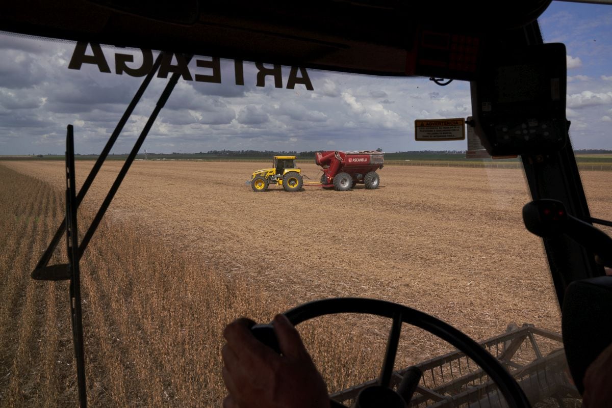 Un trabajador opera una cosechadora para cortar un campo de plantas de soja en una granja afectada por la sequía en San José de la Esquina, Argentina, el 6 de abril.