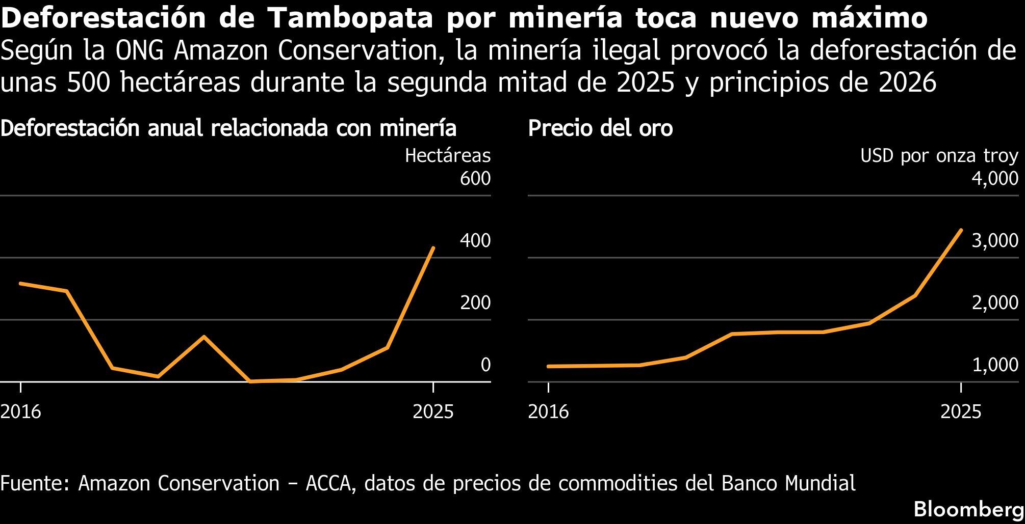 Deforestación de Tambopata por minería toca nuevo máximo | Según la ONG Amazon Conservation, la minería ilegal provocó la deforestación de unas 500 hectáreas durante la segunda mitad de 2025 y principios de 2026