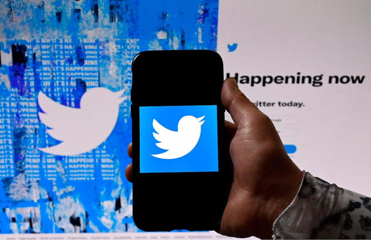 Musk ha argumentado, sin presentar evidencia, que Twitter ha subestimado significativamente la cantidad de bots de spam. (Foto: Olivier Douliery | AFP)