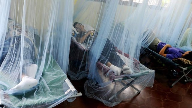 Reportan incremento de infecciones por dengue en Tumbes: ¿qué serotipo predomina?