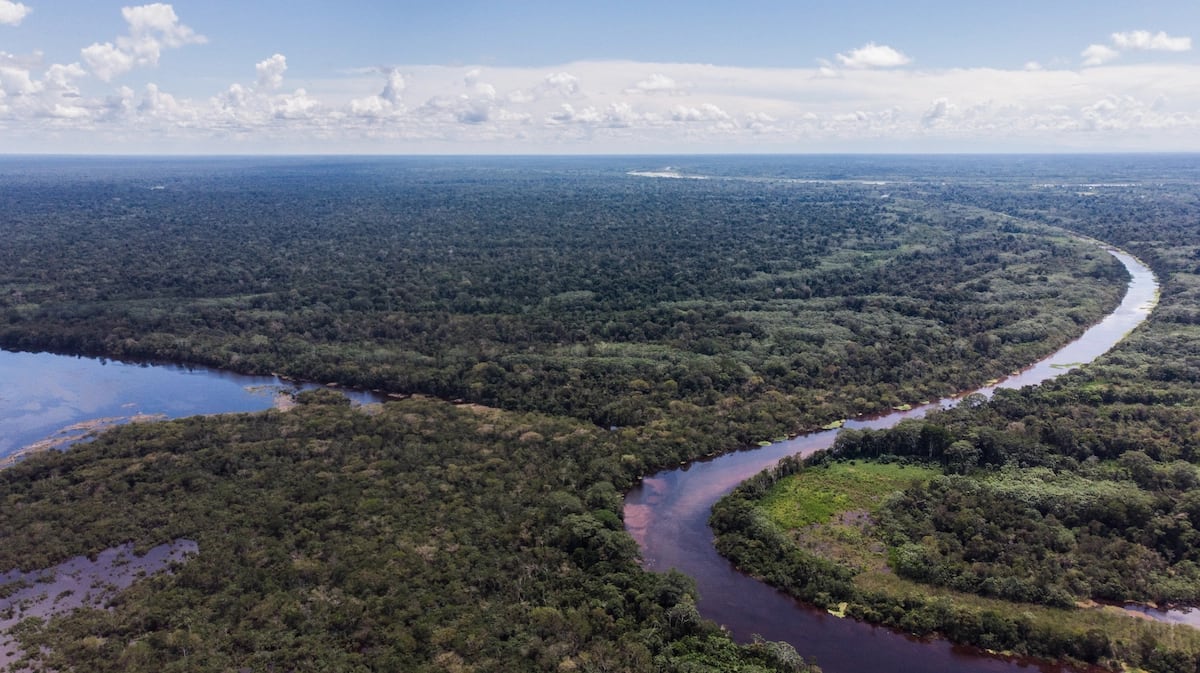 El proyecto propone delimitar zonas forestales y agropecuarias para determinar qué derechos pueden otorgarse sobre las tierras amazónicas peruanas. Foto: Sebastián Castañeda/Mongabay Latam.