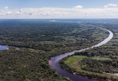 Congreso: fujimorismo busca abrir la Amazonía a la industria agraria, ¿qué cambiaría?