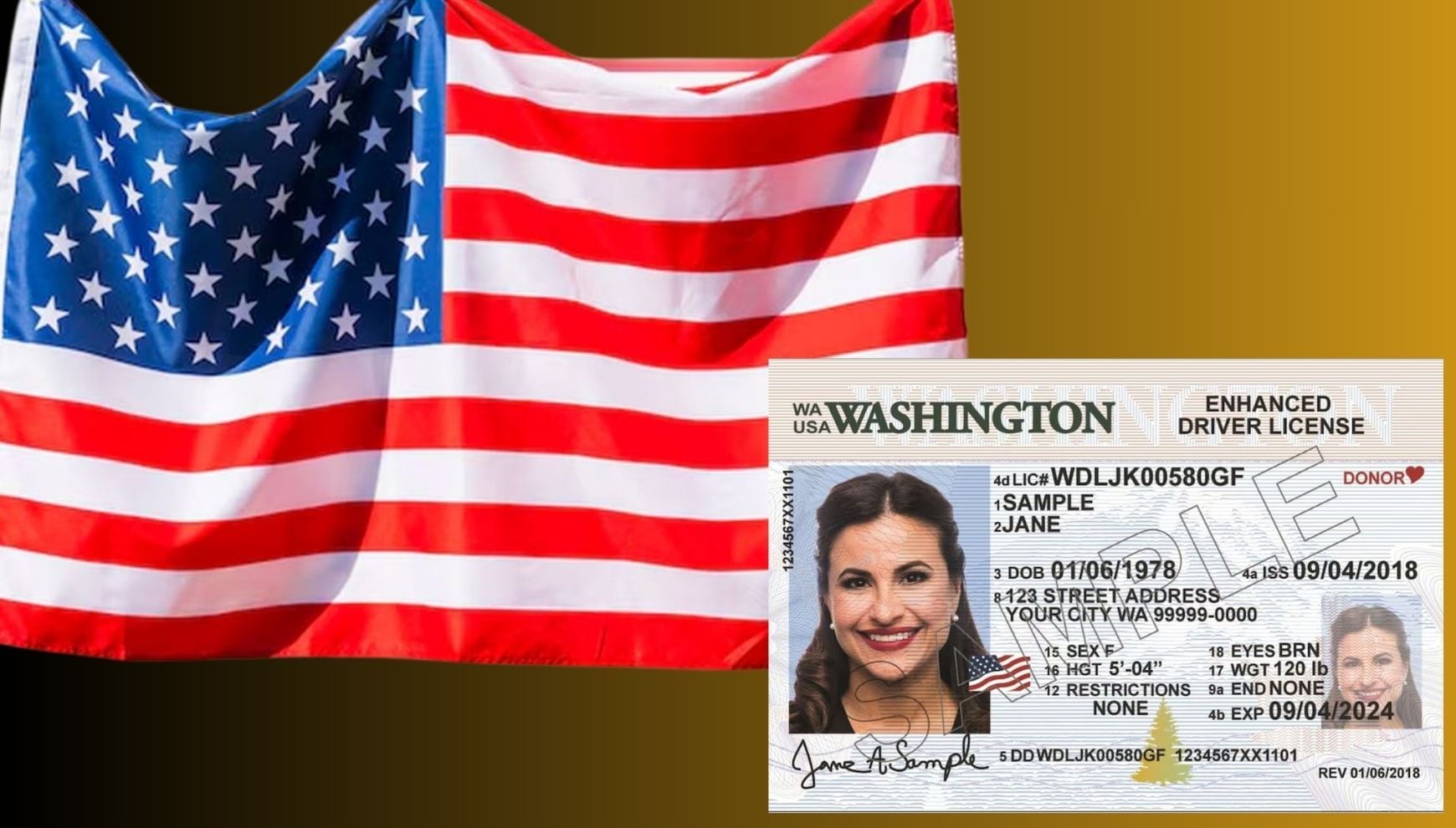 La ley Real ID Act de 2005 fue creada para mejorar la seguridad en los Estados Unidos (Foto: AFP / Washington State Department of Licensing)
