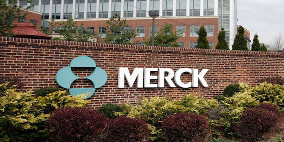 La adquisición de Springworks es la mayor en la división farmacéutica de Merck desde la compra de la suiza Serono en 2007 por 10,300 millones de euros. (Foto:Reuters)