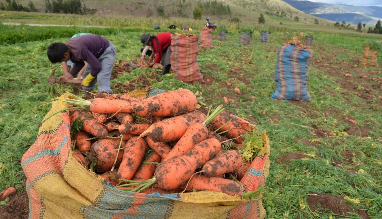 Caja Los Andes tiene clientes, sobre todo, en el área rural y andina. (Foto: GEC)