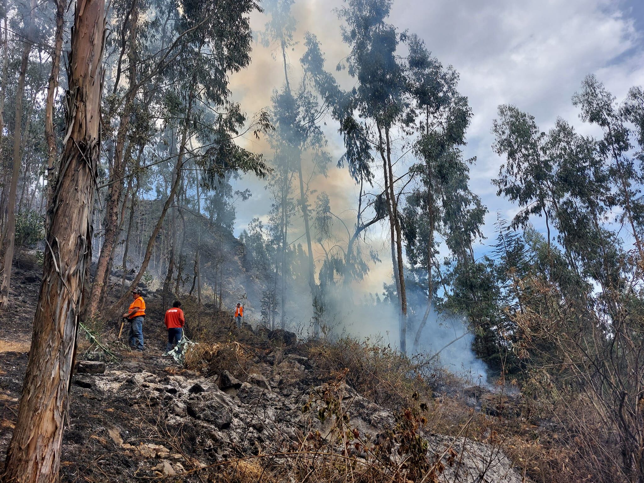 Un 55% de encuestados se ha visto afectado por eventos naturales o antrópicos en los últimos 5 años. (Foto: COEN)