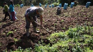 Conveagro cuestiona proyecto de ley de Segunda Reforma Agraria por no incluir a gremios agrarios