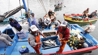 Pesca cierra 2023 con su peor caída en nueve años 