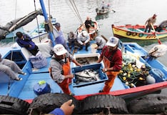 Infraestructura pesquera: Nuevo plazo para que operadores se adecuen a reglamento