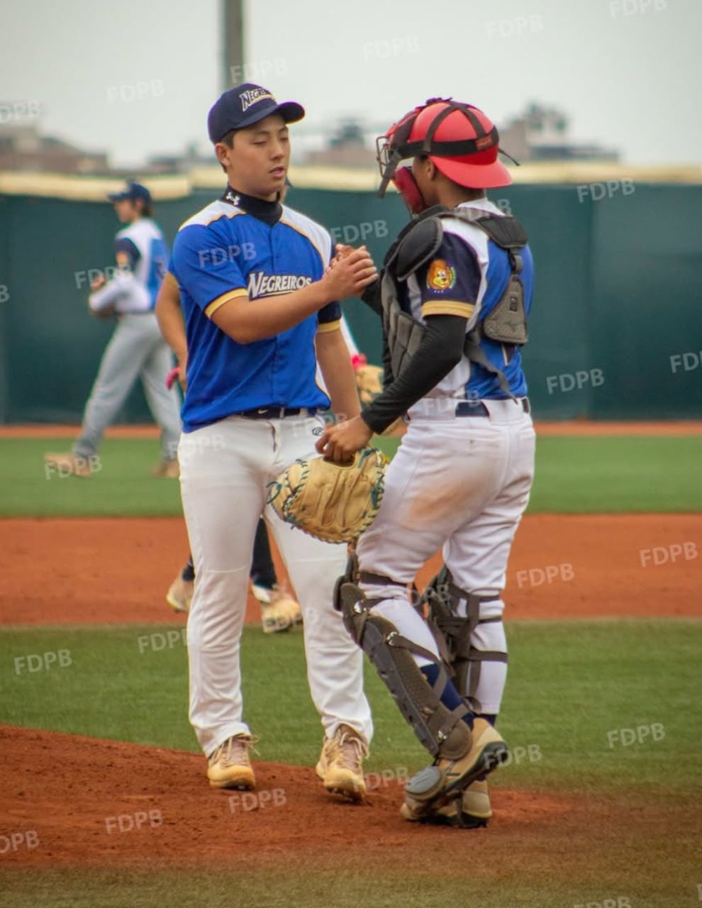 La federación apuesta por convertir la visibilidad del béisbol en su principal carta de presentación ante potenciales patrocinadores. (Foto: FPB)
