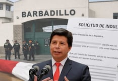 Pedro Castillo solicita formalmente el indulto presidencial