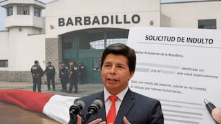 Pedro Castillo solicita formalmente el indulto presidencial