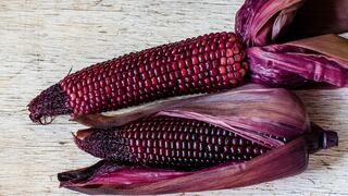La UNALM desarrolla nueva variedad de maíz morado para pop corn 