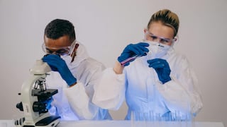 Incentivo para innovar: 66 empresas obtienen beneficio tributario y 2 regiones son la llave