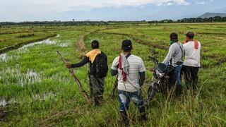 ¿Campesinos o deforestadores? la militarización de los bosques en Colombia