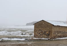 Bajas temperaturas afectarían producción agrícola: el impacto por regiones