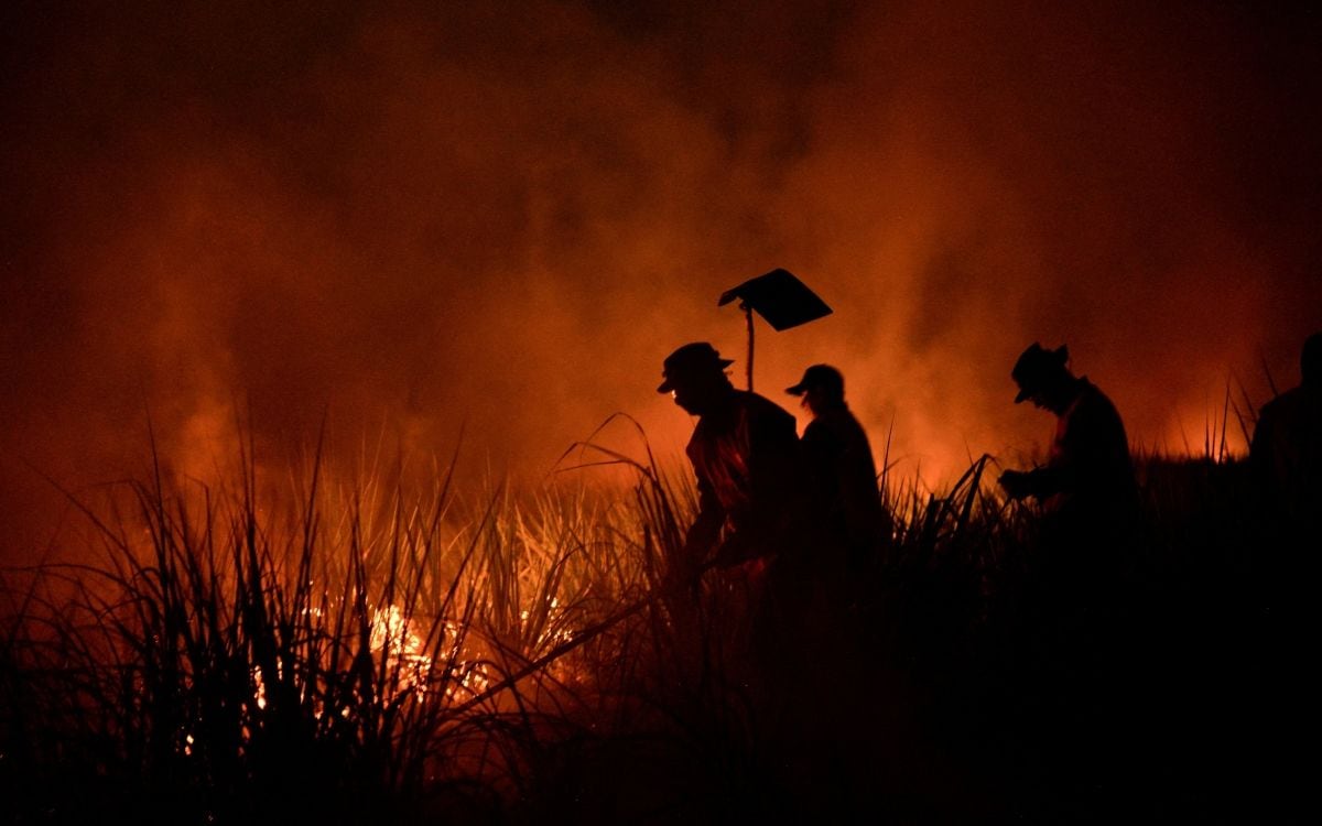 Desde que asumió su tercer mandato, el 1 de enero de 203, Lula elevó los recursos y la fiscalización en la región amazónica con el objetivo de alcanzar la meta con la se comprometió, de acabar con la deforestación ilegal hasta 2030. (Foto: Reuters)