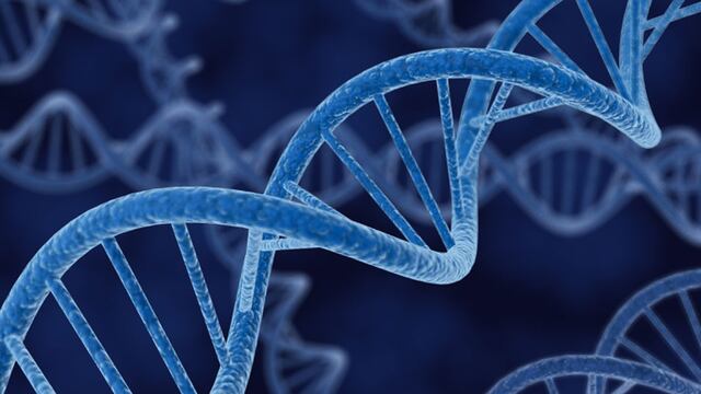 Descubren causa de una rara enfermedad genética, hallazgo clave para futuras terapias