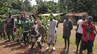 El ébola detiene el comercio, la agricultura y las inversiones en África