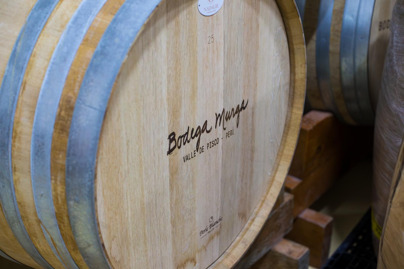 eN BODEGA En Murga trabajan exclusivamente con variedades criollas. Para Possamai, el camino está en profundizar ese vínculo. El contacto con estas uvas ha sido, dice, “interesante, sorprendente y desafiante”.(Foto: Mario Zapata Nieto/ GEC)