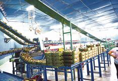 Agromar apuesta por el crecimiento con ampliación de plantas y nueva línea de frutas
