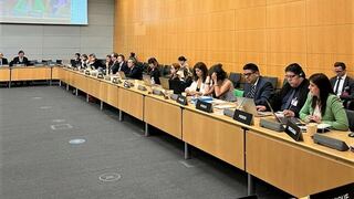 Perú presentó ante la OCDE avances en materia de lucha anticorrupción 