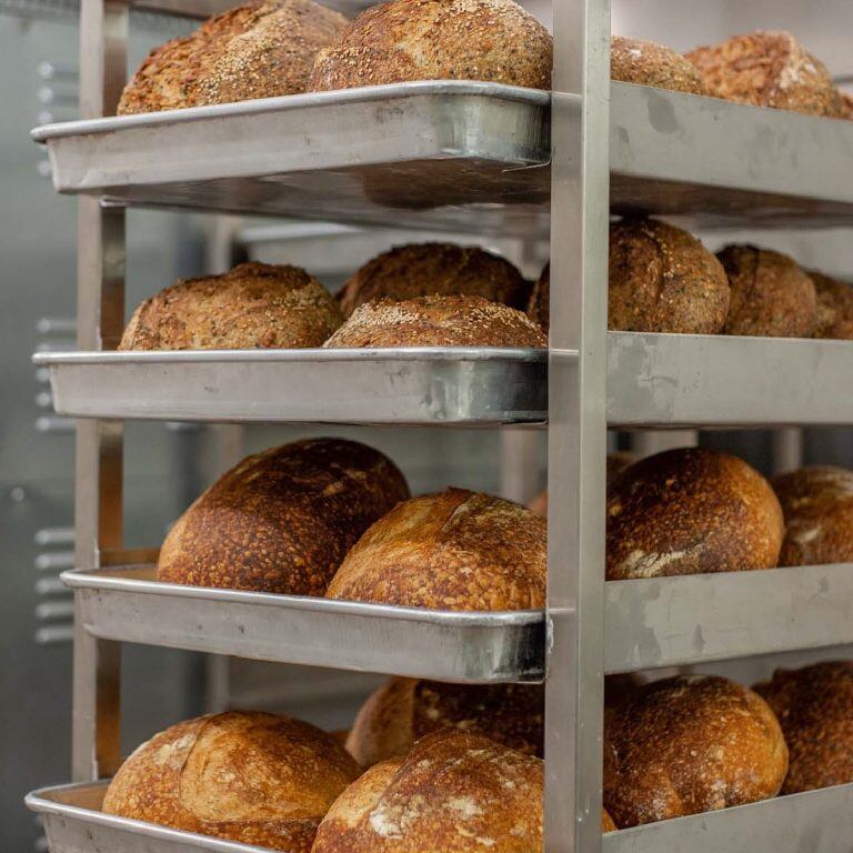 La capacidad de producción de la panadería es de 8,000 unidades de pan al mes, a excepción de las pizzas, sándwiches y postres.