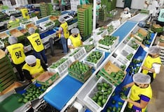Importaciones mundiales de alimentos y bebidas aumentarían 4% este año
