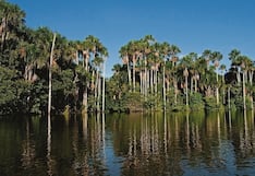 Perú quiere captar inversión para 75 proyectos ambientales por S/ 800 millones: qué ofrece