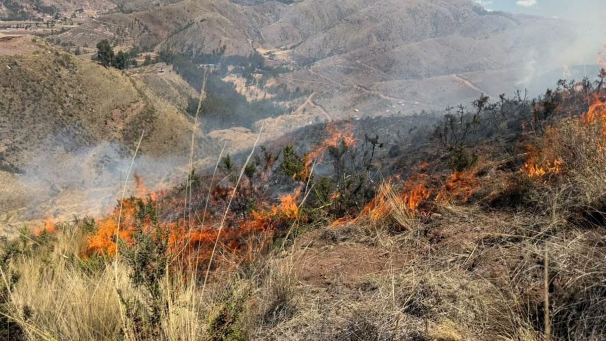 Incendios forestales en Cusco: Gobierno implementa plan aéreo contra siniestros