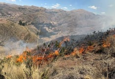 Ministro Vinelli indicó que 19 incendios forestales siguen activos en el país