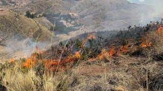 Incendios forestales en Cusco y Ayacucho: Gobierno implementa plan aéreo contra siniestros