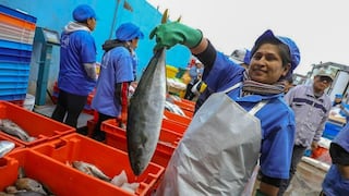 Precio del pescado se reduce hasta en 20% en Lima y Callao