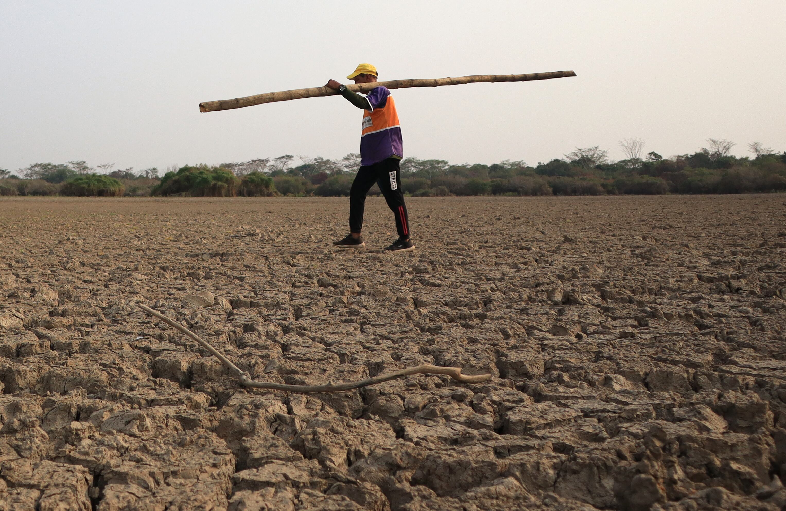 a sequía en el río Lebrija en el municipio de Barranca de Lebrija, departamento de Cesar, Colombia. (Foto por Folleto / Red de Varamientos de Manatíes de Magdalena Medio / AFP)